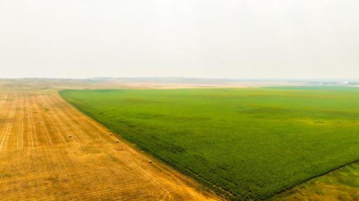 TBD Sec 35 31 St Se Lot 8, ND 58639