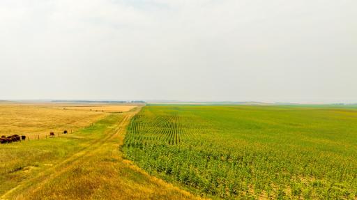 TBD Sec 35 31 St Se Lot 8, ND 58639