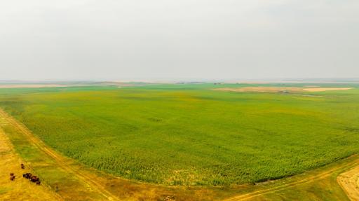 TBD Sec 35 31 St Se Lot 8, ND 58639