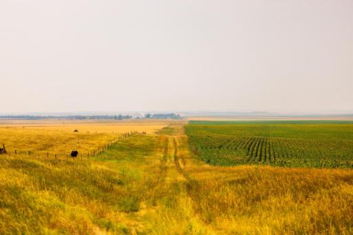TBD Sec 35 31 St Se Lot 8, ND 58639