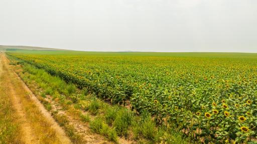TBD Sec 35 31 St Se Lot 8, ND 58639