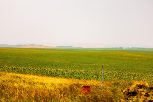 TBD Sec 35 31 St Se Lot 8, ND 58639