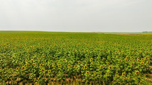 TBD Sec 35 31 St Se Lot 8, ND 58639