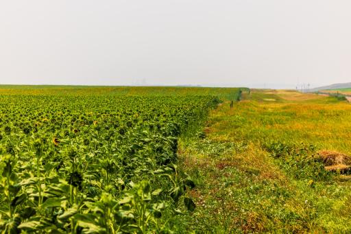 TBD Sec 35 31 St Se Lot 8, ND 58639