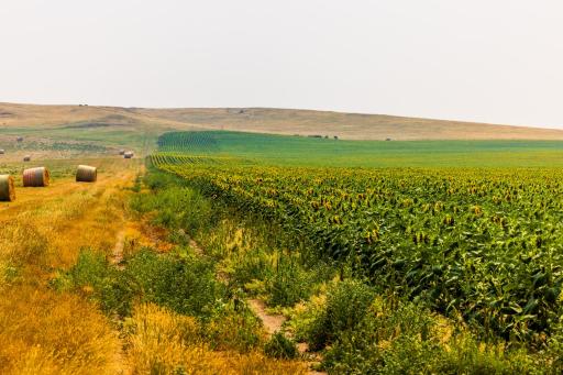 TBD Sec 35 31 St Se Lot 8, ND 58639
