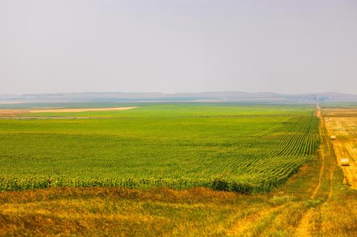 TBD Sec 35 31 St Se Lot 8, ND 58639