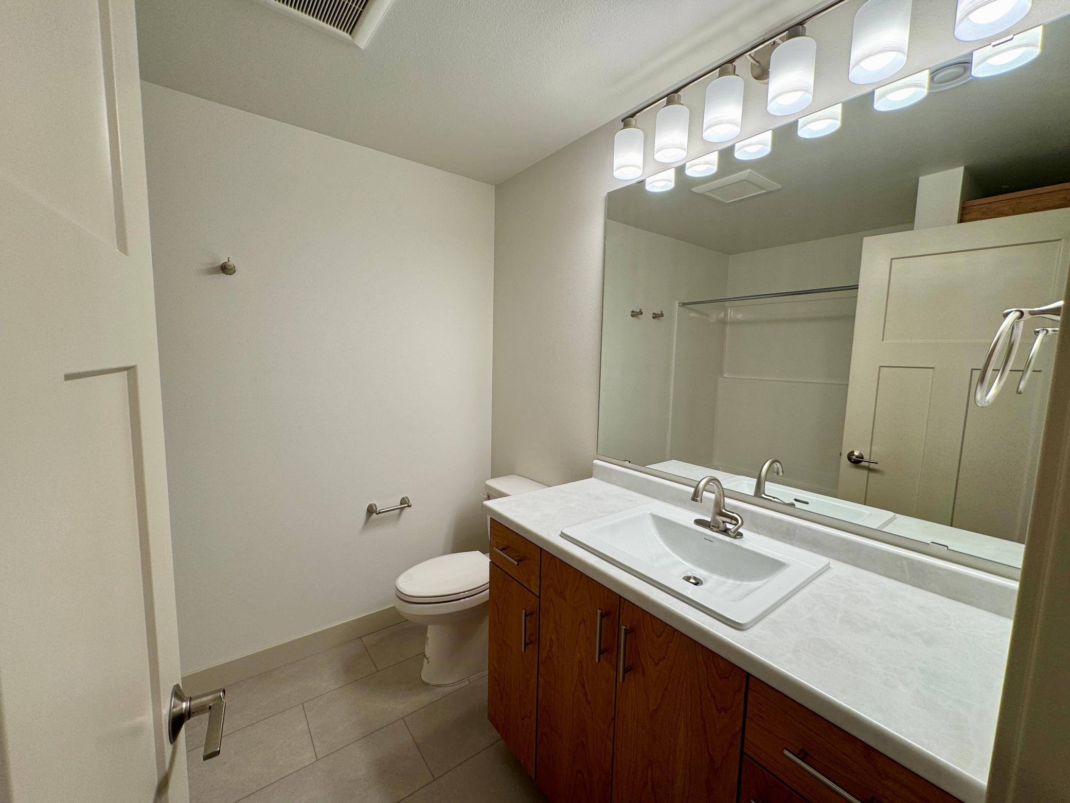 Basement Bathroom