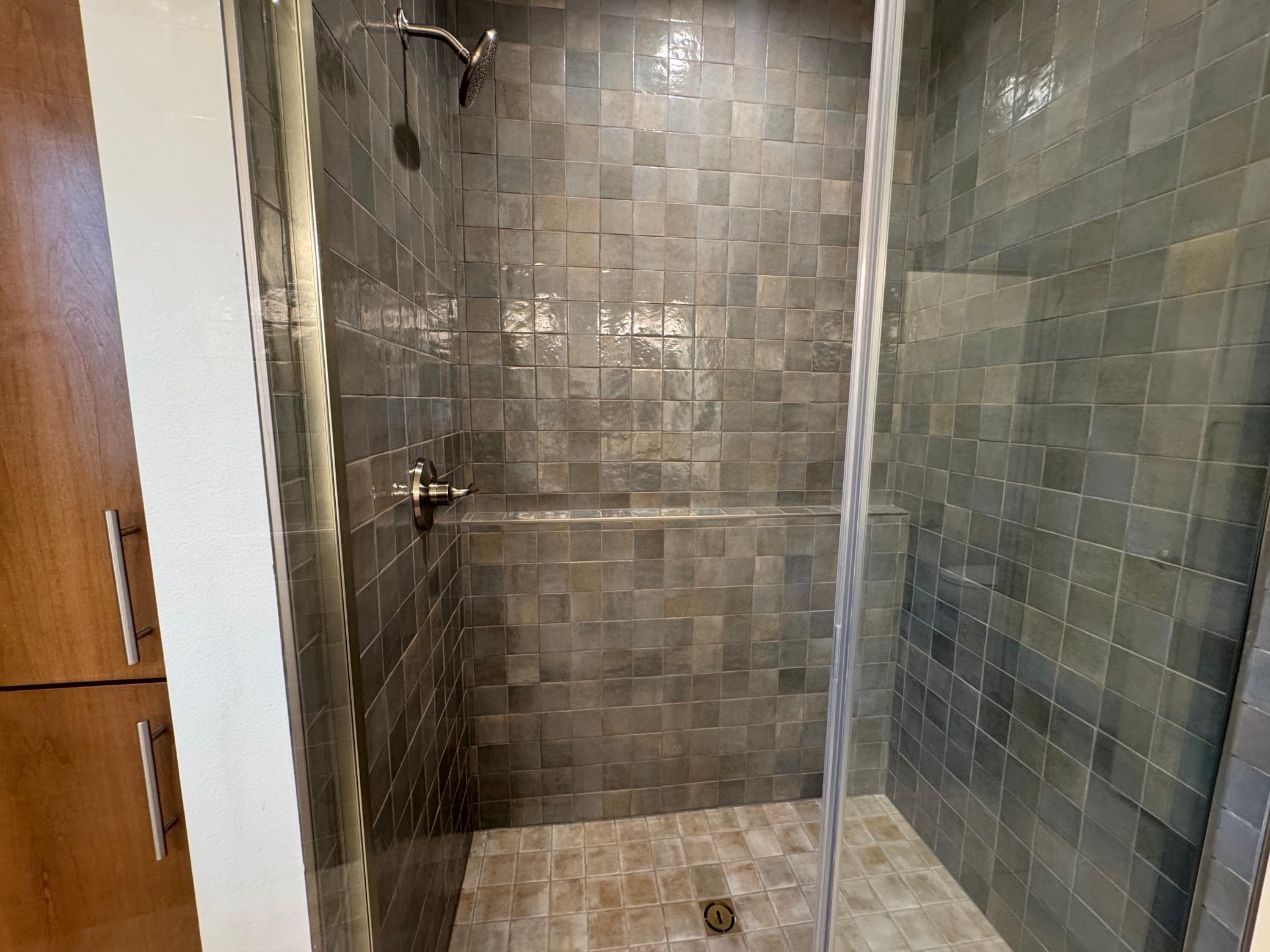Primary Bathroom - Tile Shower
