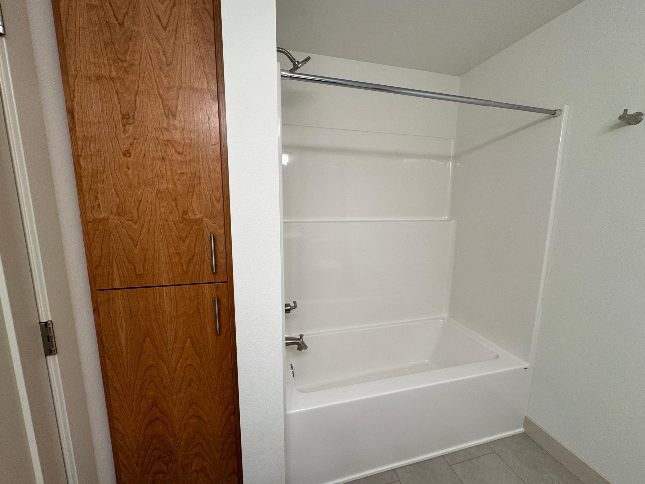 Basement Bathroom