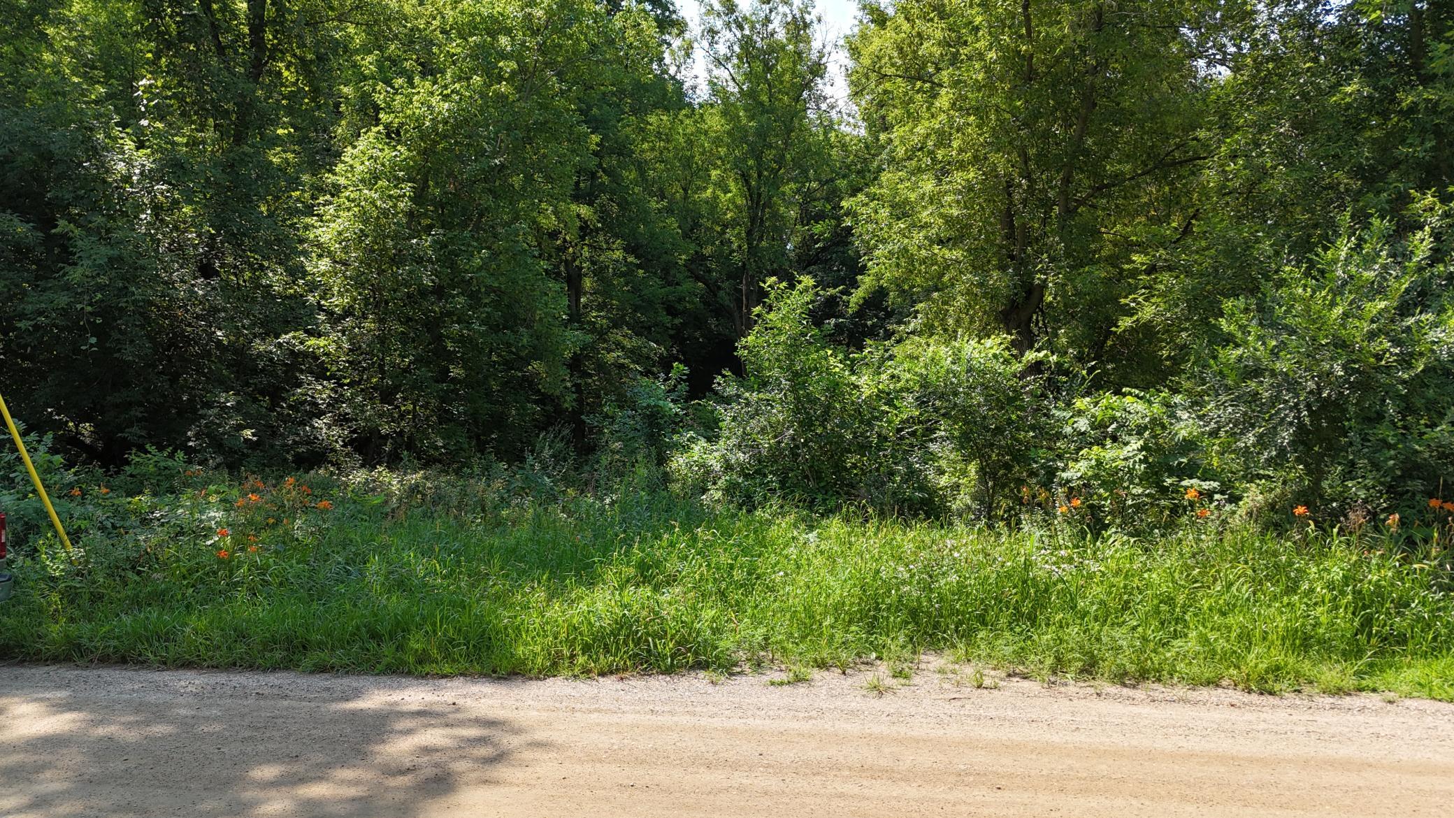 This is looking into the lot off of 109th St. Heavily wooded lot ready for you to carve out your spot.