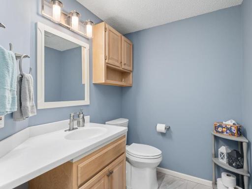 733 Ashley Drive, Chaska, MN 55318