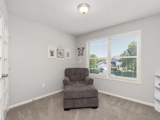 733 Ashley Drive, Chaska, MN 55318