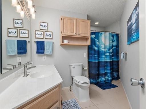 733 Ashley Drive, Chaska, MN 55318