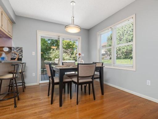 733 Ashley Drive, Chaska, MN 55318
