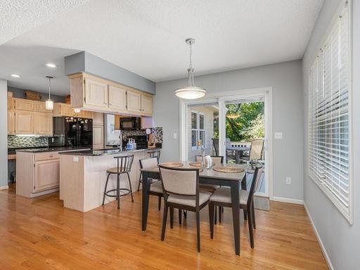 733 Ashley Drive, Chaska, MN 55318
