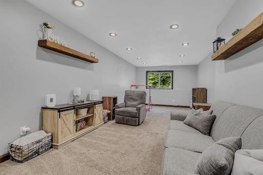 Lower Level Family Room