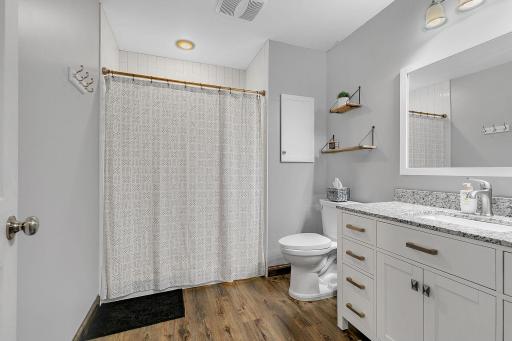 Lower Level Bathroom