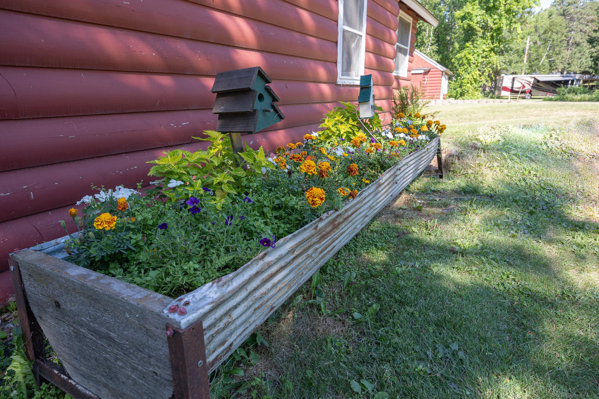 Cabin 3 flower bed