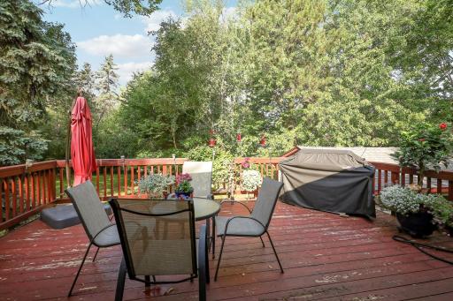 8710Photography-Web-Friendly-5840-Tennison-Drive-Northeast-Fridley-MN-55432-51.jpg