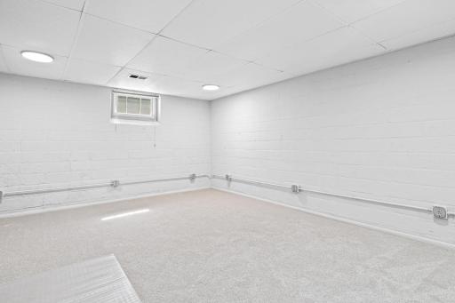 Painted and carpeted lower level