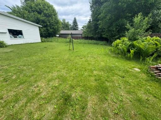 Back Yard View
