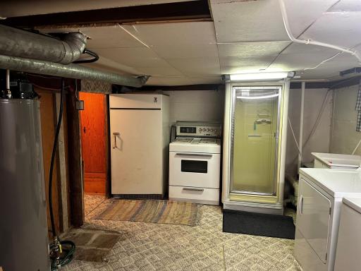 Basement Level Shower