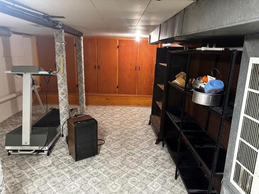 Basement Level Storage/Area