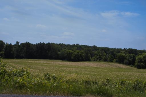 Land:Front.jpg
