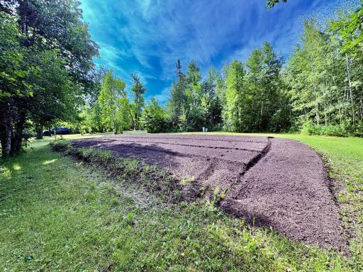 HUGE organic garden