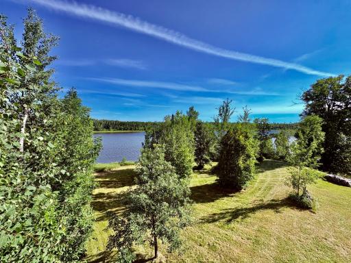 Sprawling yard with 12 acres total