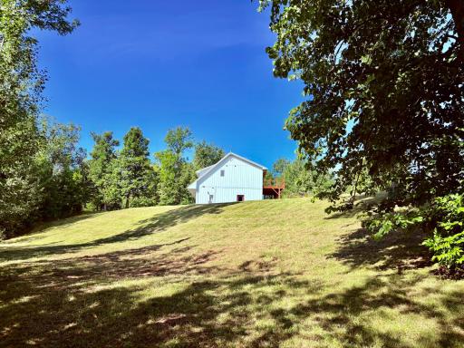 Home from down by the side creek