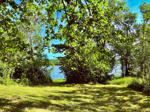 Trails to the river