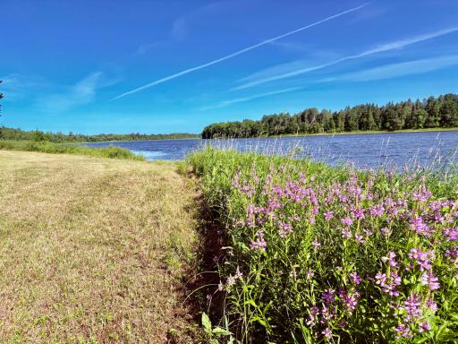 Trail to the River