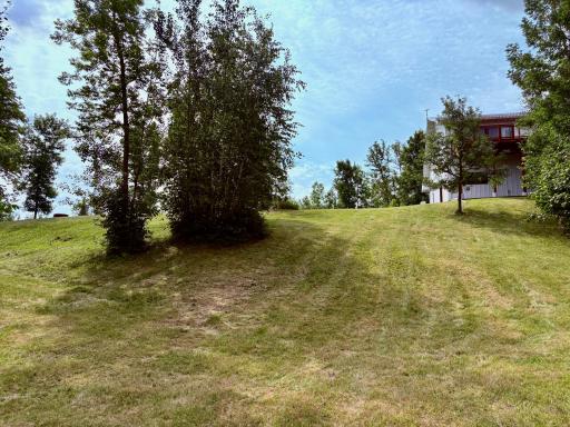 Looking up the hill