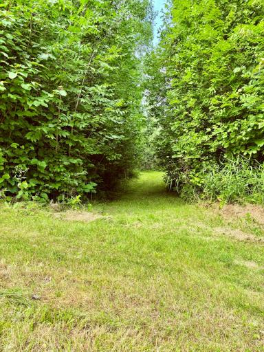 Nature trails