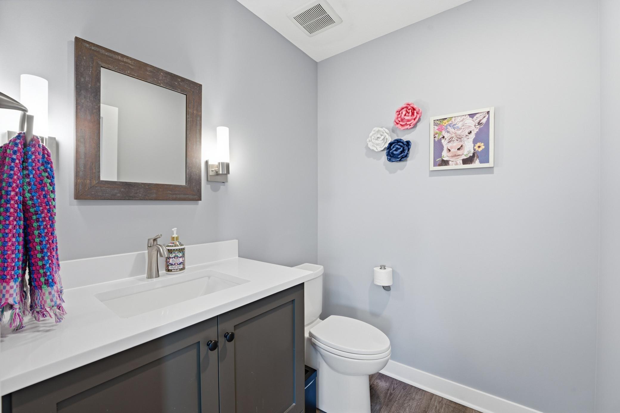 Down Stairs Bathroom
