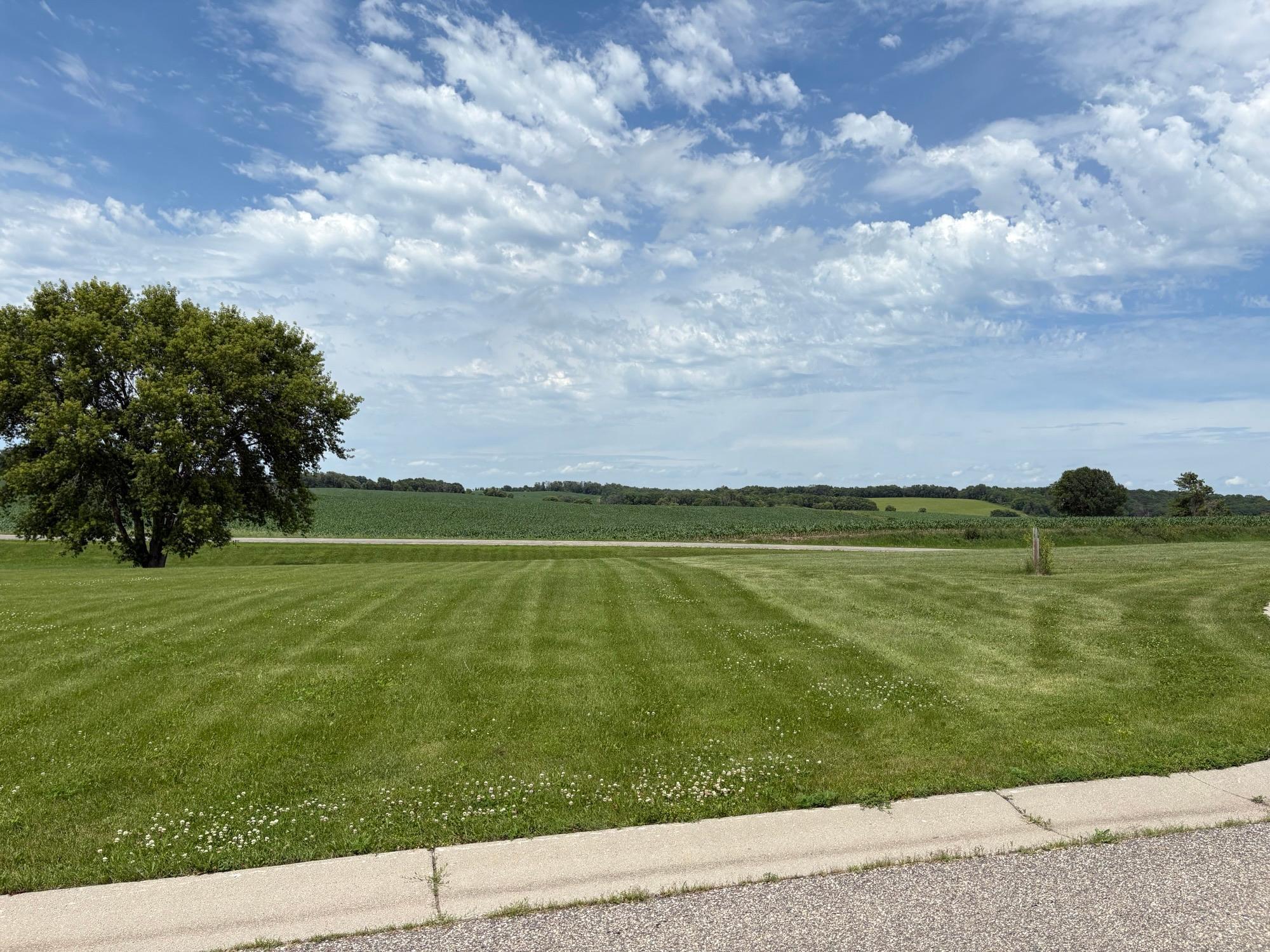 IMG_4749.jpeg