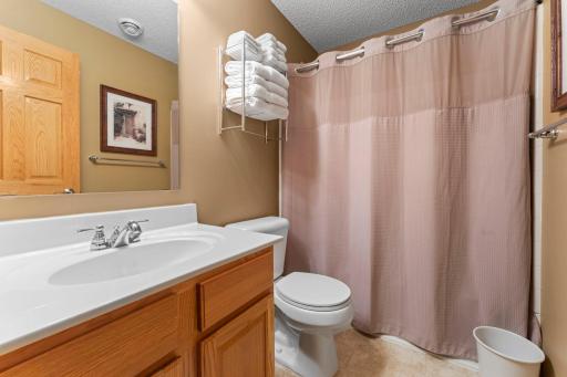 Lower level full bath