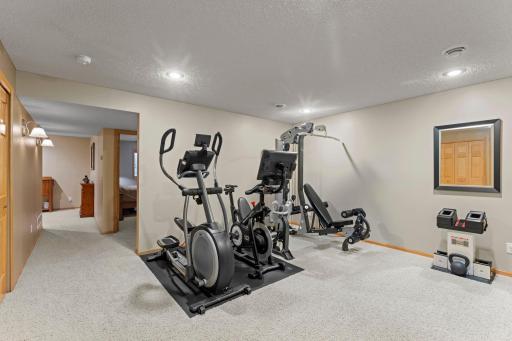 Lower level exercise room or additional family room!