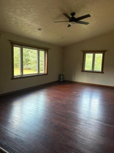 Hardy pic Living room.jpeg