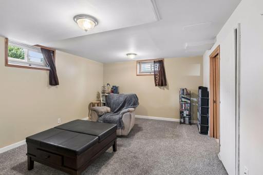 Lower level family room