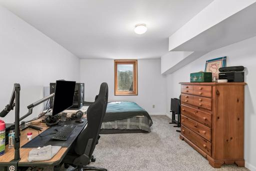 Lower level bedroom