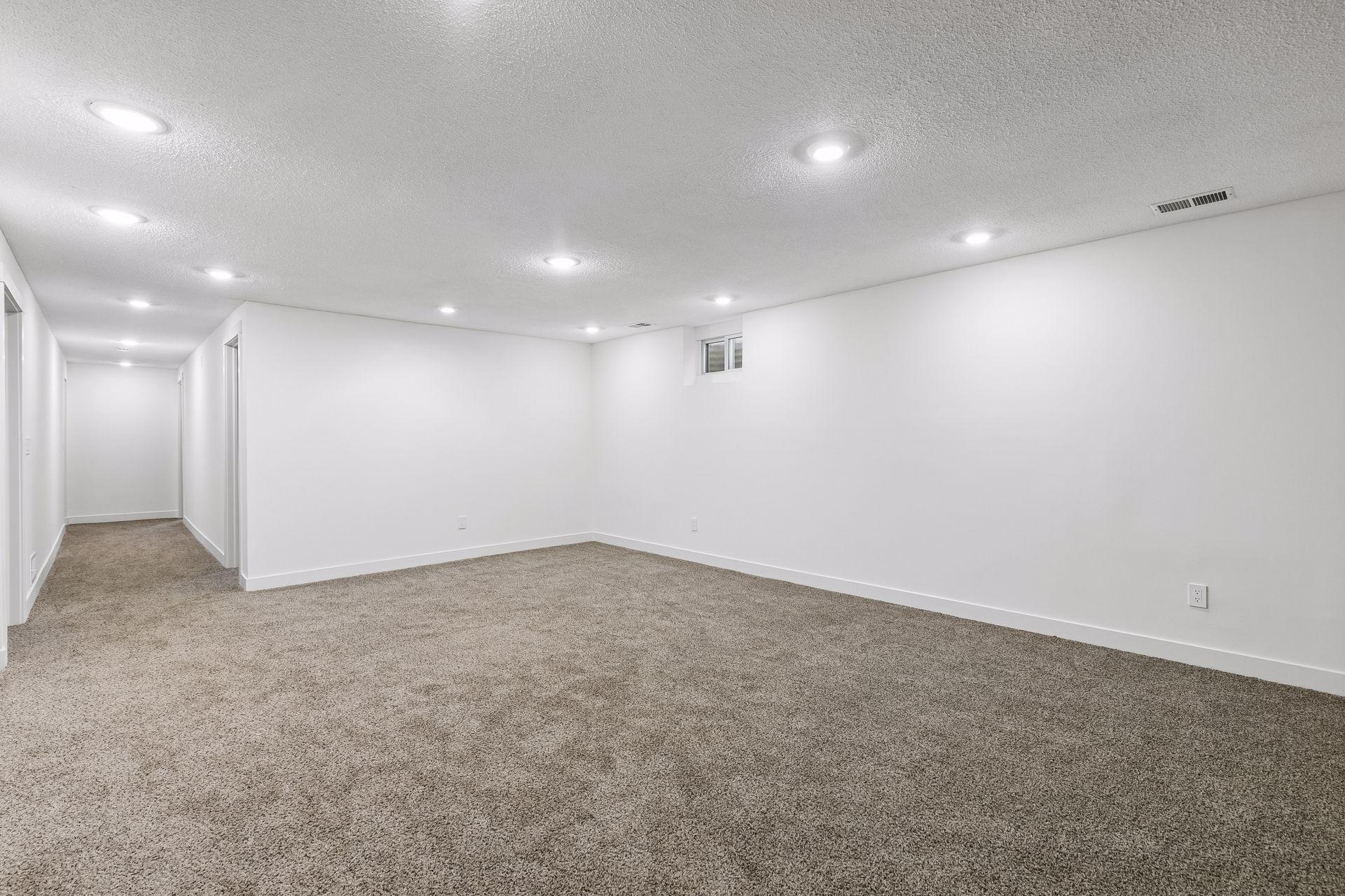 Lower Level Family Room