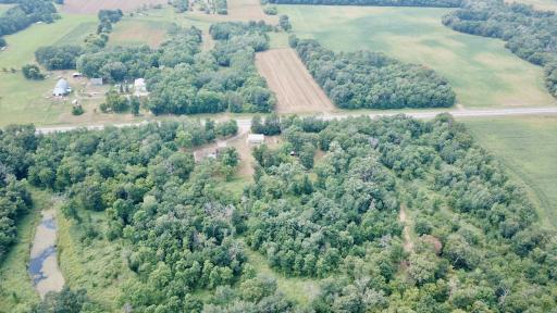 Another Great view of the 12 plus acres of wooded privacy!!!