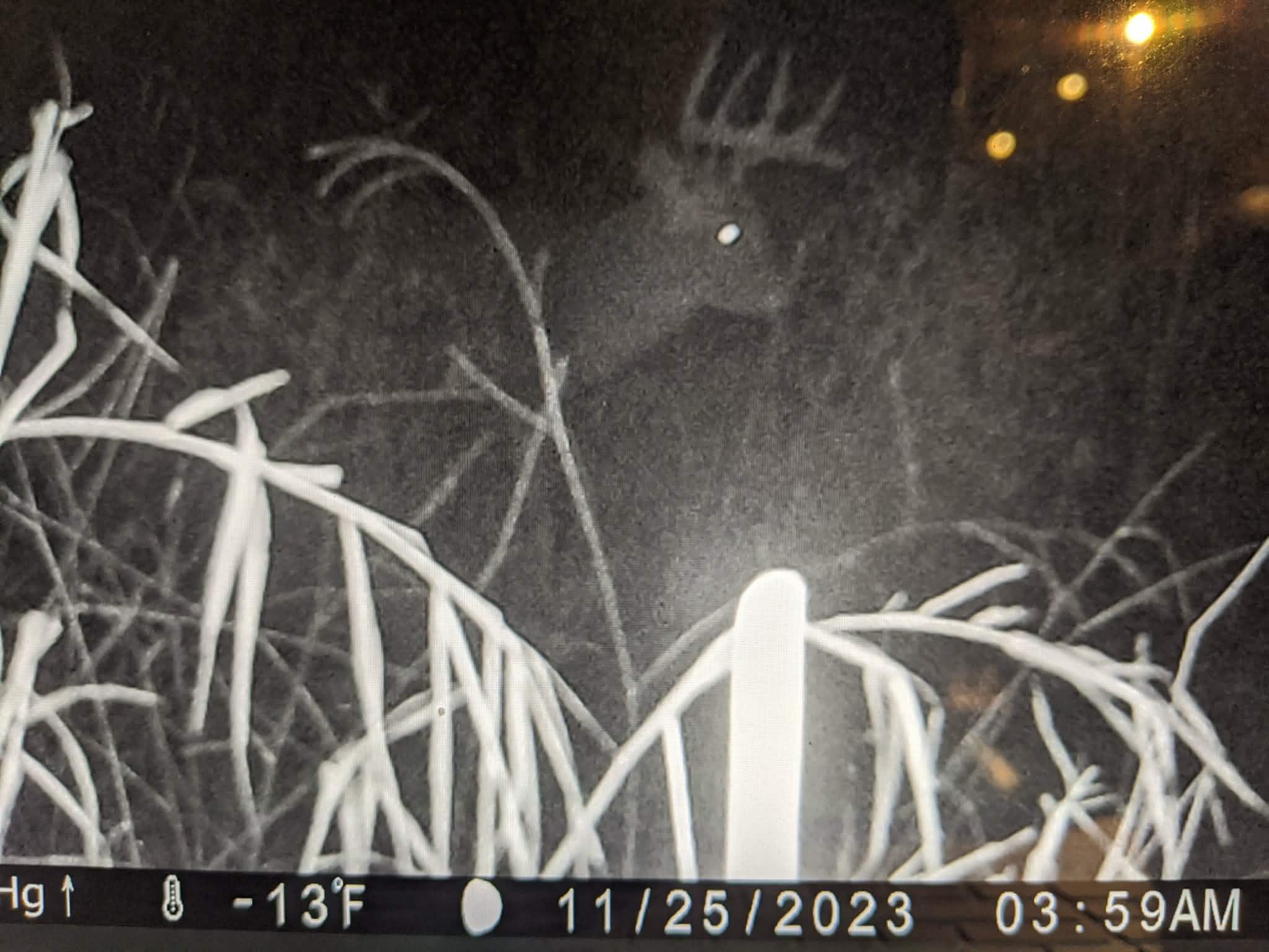 Some of the stunning wildlife that have been captured visiting the property!!!