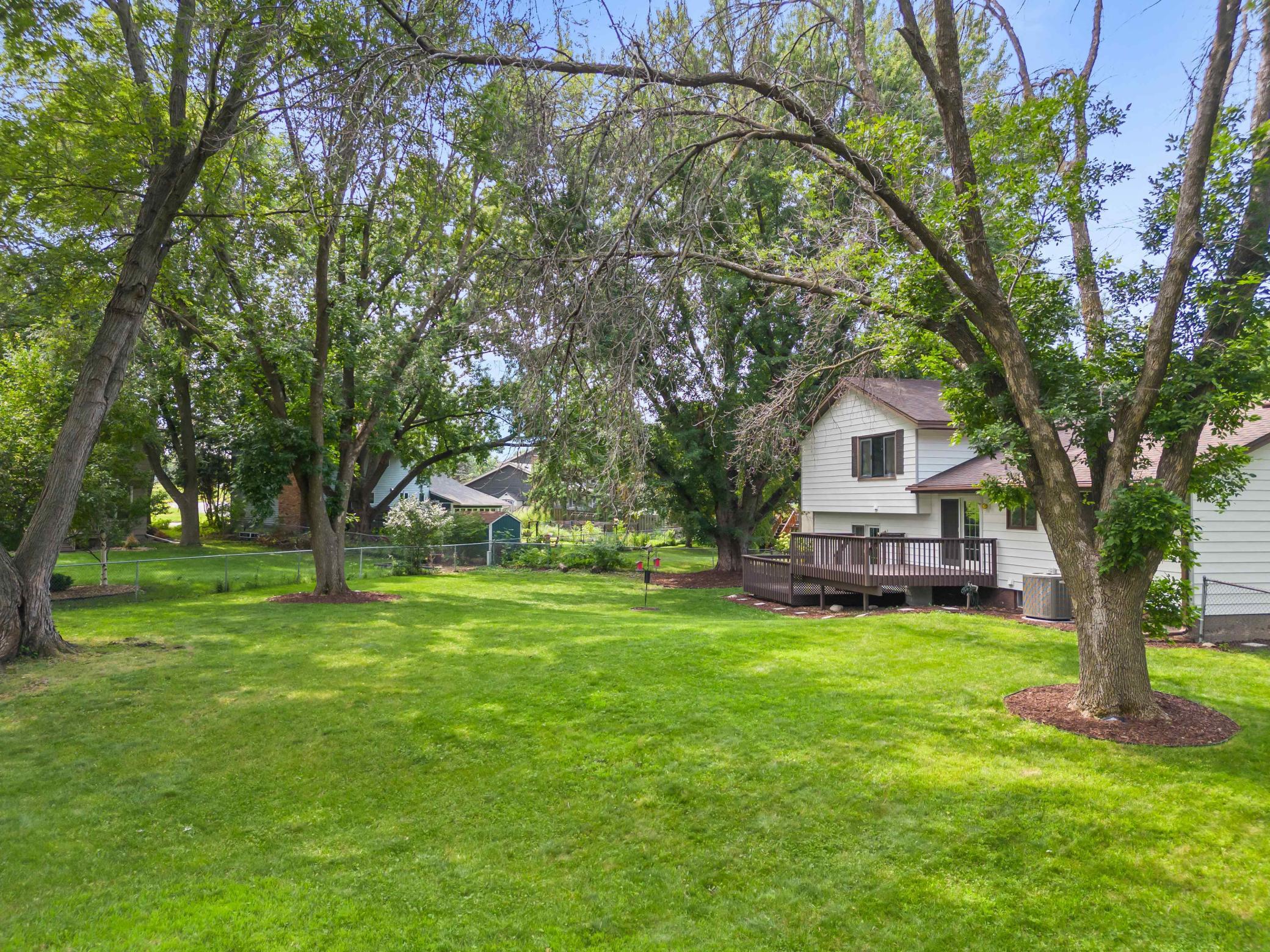Expansive fenced backyard with mature shade trees and plenty of room to enjoy the outdoors