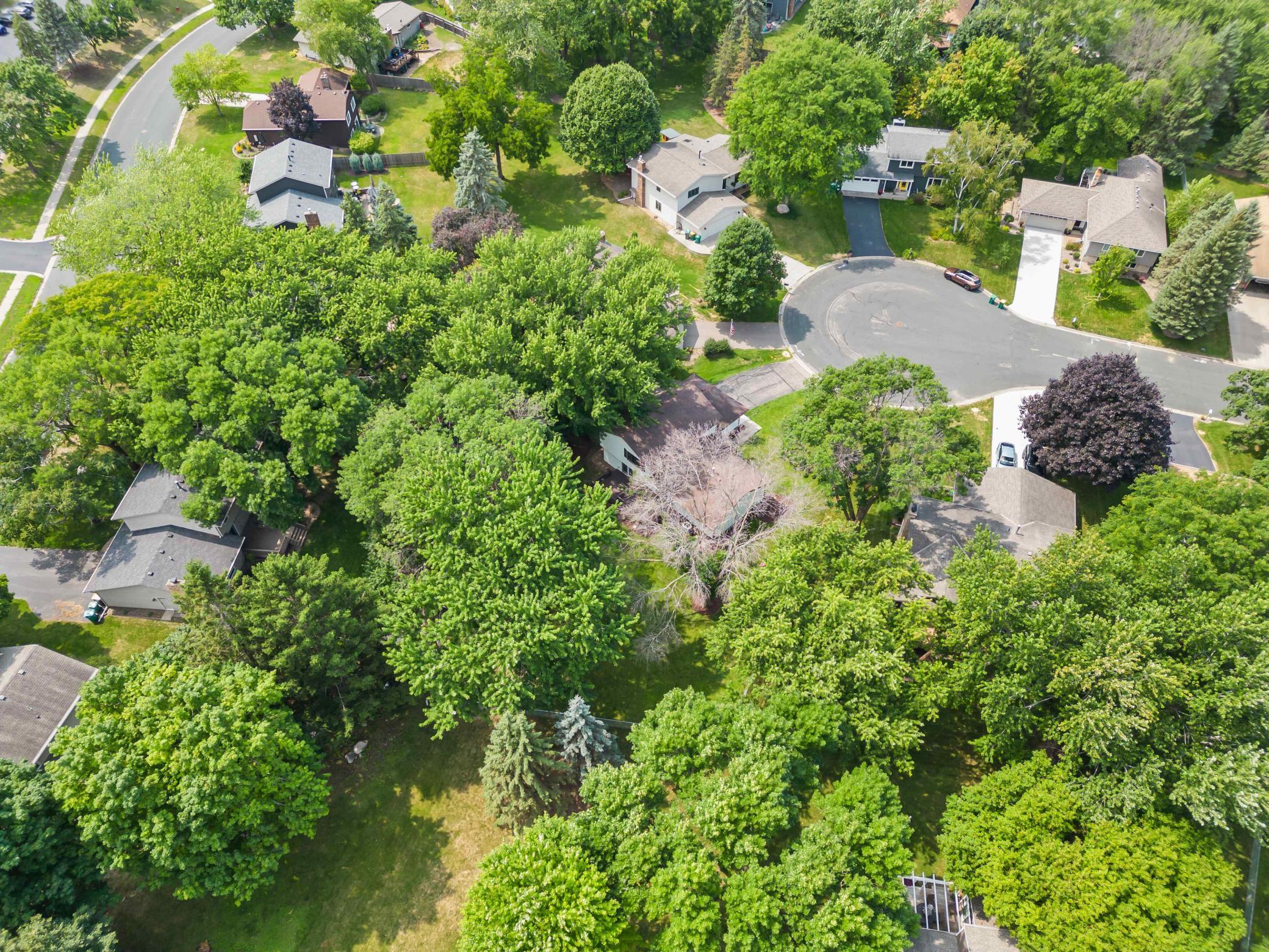 Wide aerial view showcasing the property's established, tree-filled neighborhood and nearby green spaces