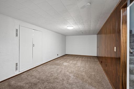 Large family room in the basement