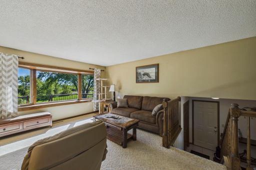 Beautiful view thru the large windows to the backyard