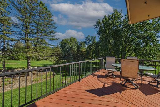 20290 Enfield Court N, Forest Lake, MN 55025